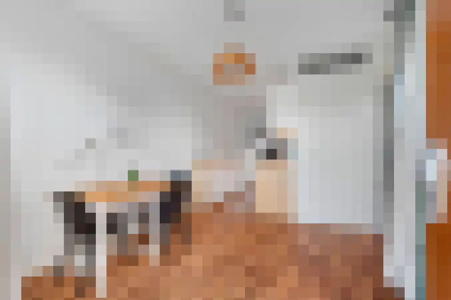 Osirispad 53 Almere thumbnail 10