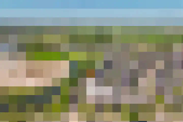 Osirispad 59 Almere thumbnail 25