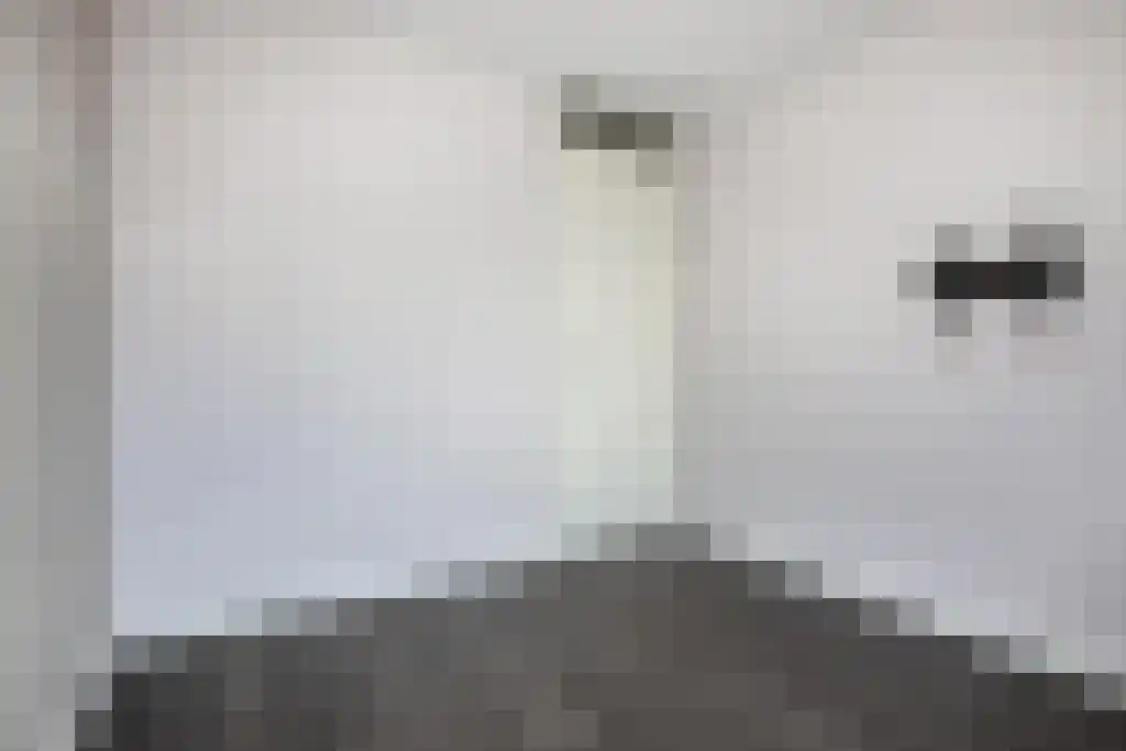 Osirispad 87 Almere thumbnail 17