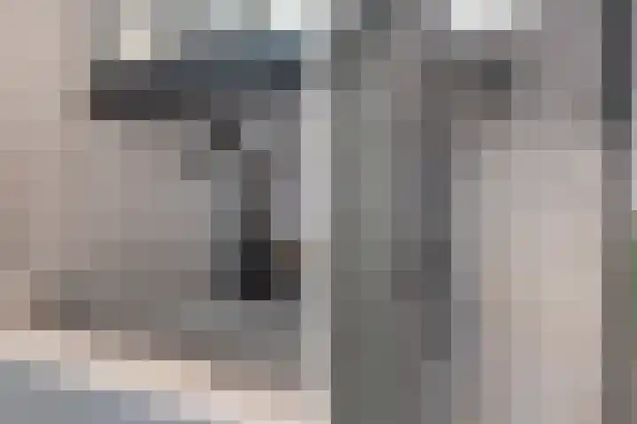 Osirispad 9 Almere thumbnail 24