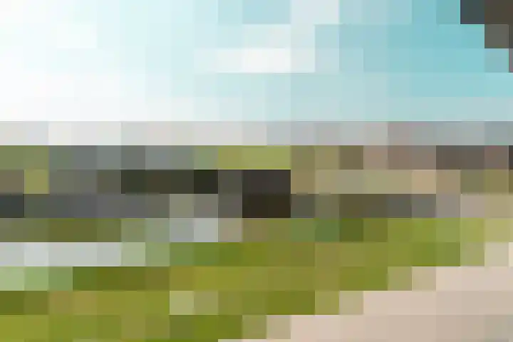 Osirispad 9 Almere thumbnail 30