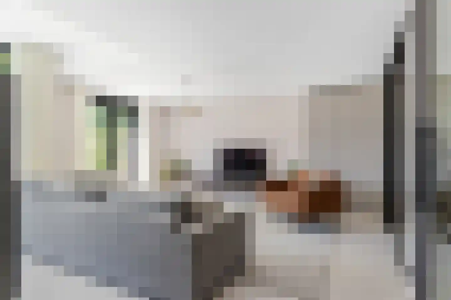 Oskar Nedbalhof 13 Utrecht thumbnail 10