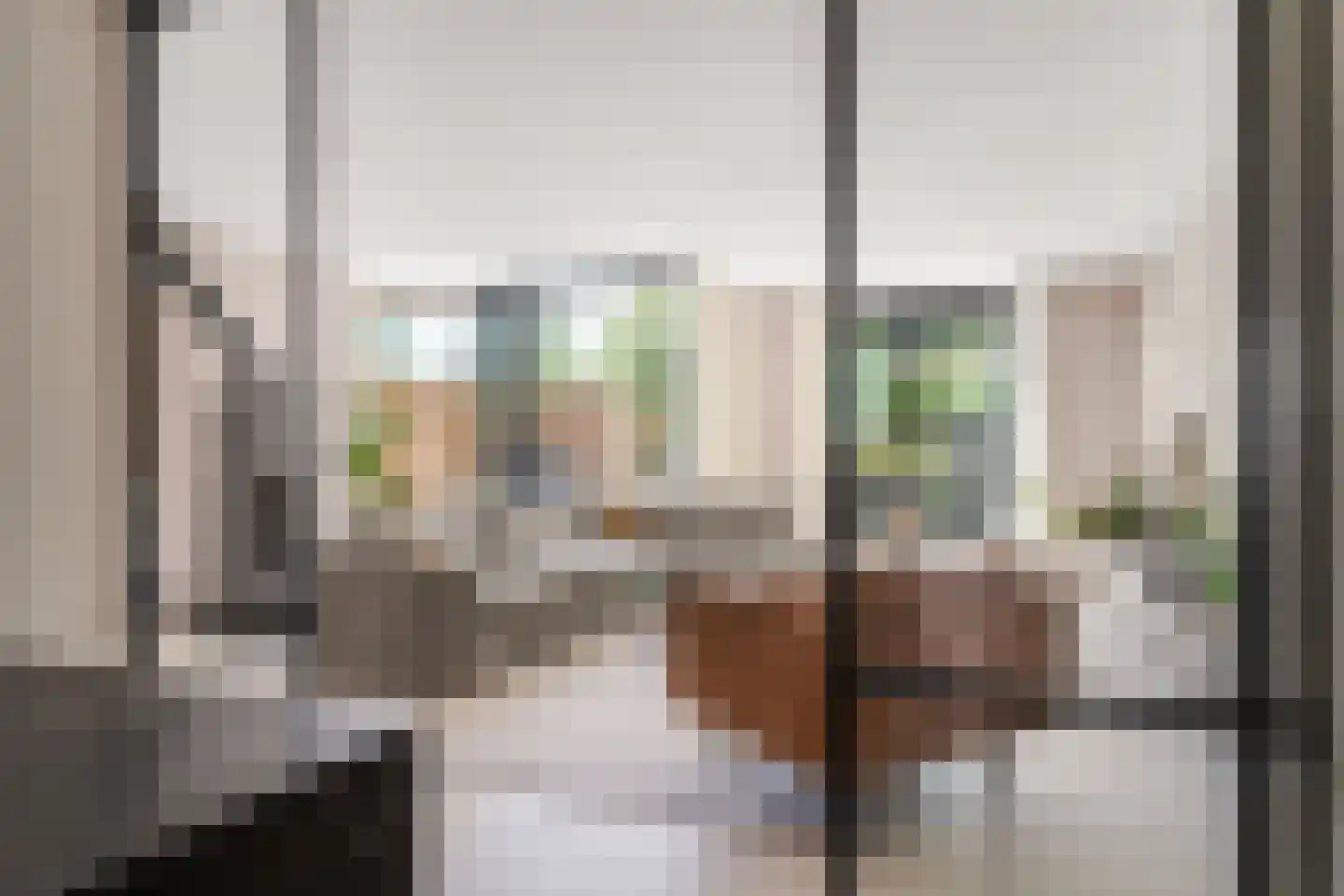 Oskar Nedbalhof 13 Utrecht thumbnail 16