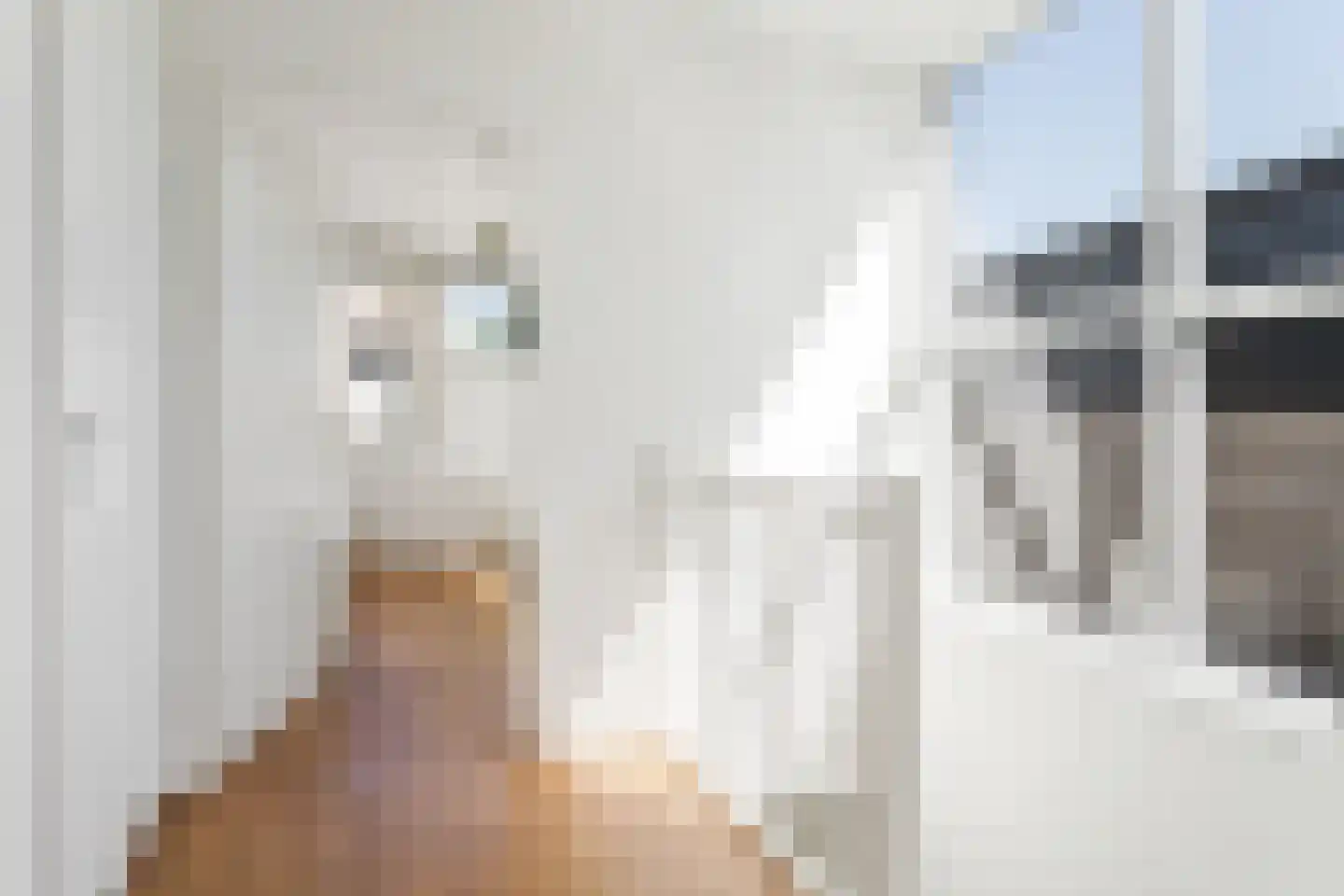 Oskar Nedbalhof 13 Utrecht thumbnail 19