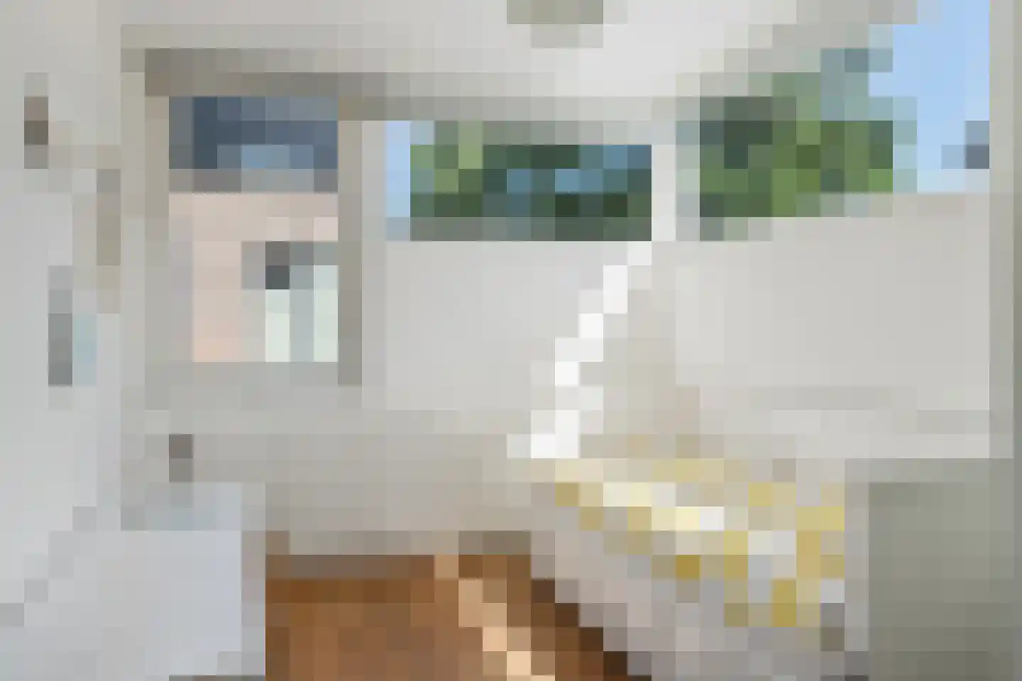 Oskar Nedbalhof 13 Utrecht thumbnail 21