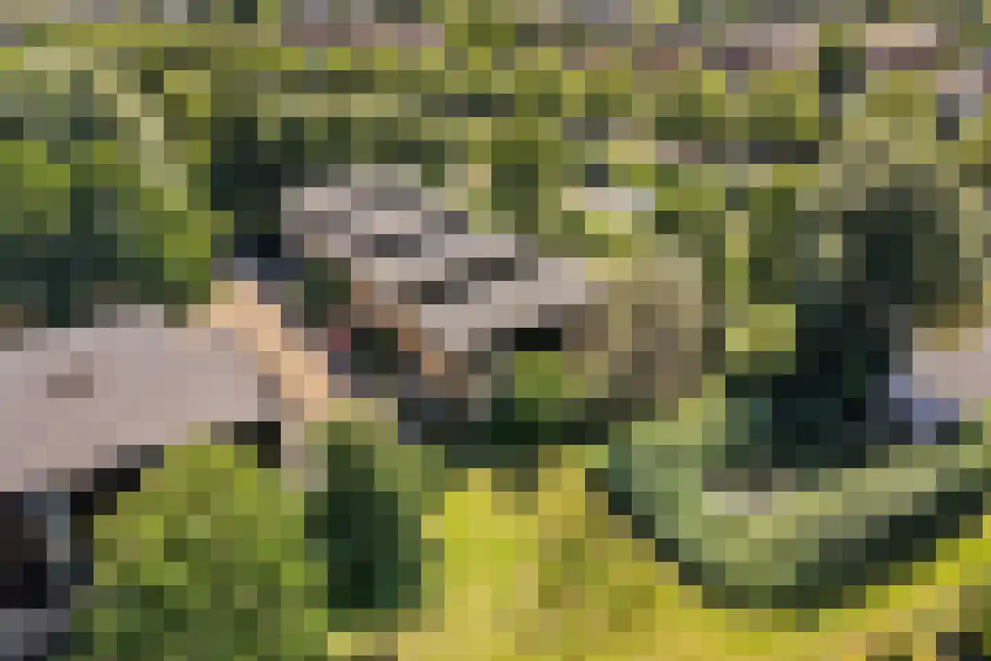 Oskar Nedbalhof 13 Utrecht thumbnail 37