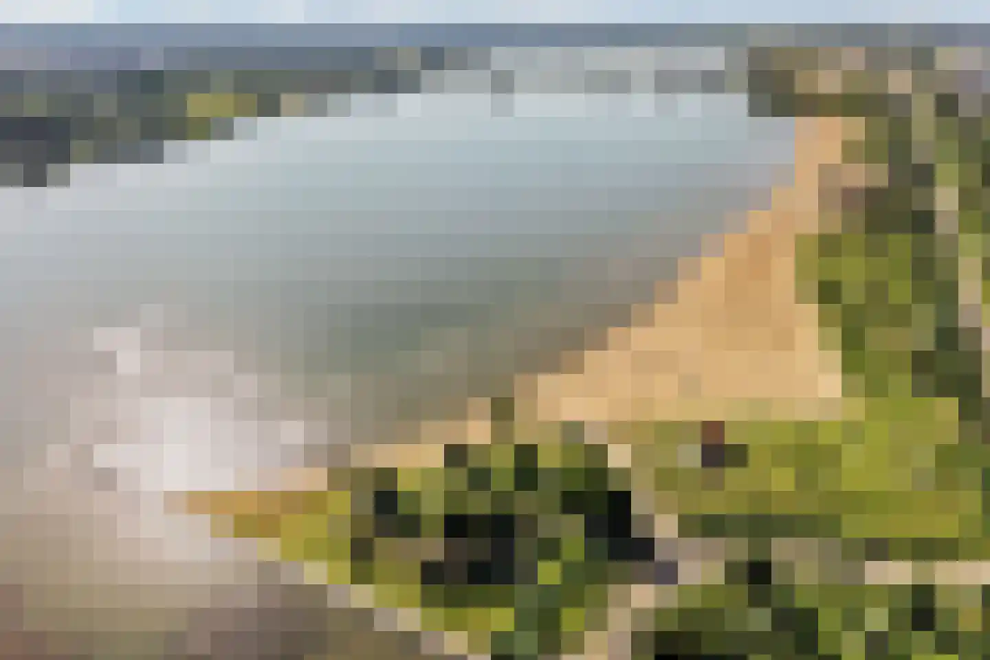 Oskar Nedbalhof 13 Utrecht thumbnail 39