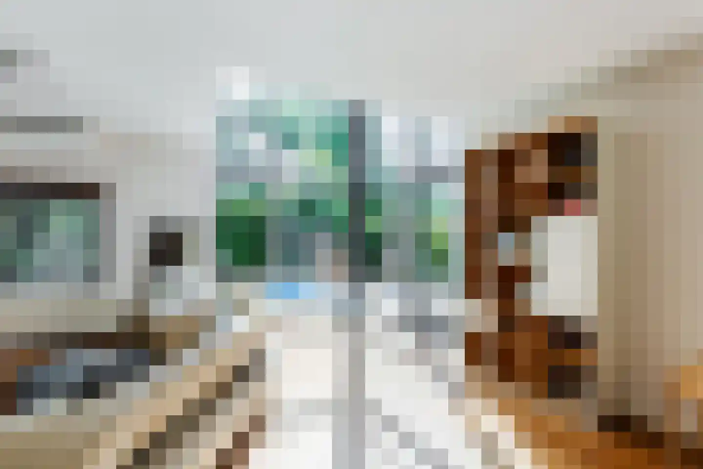 Oskar Nedbalhof 8 Utrecht thumbnail 12