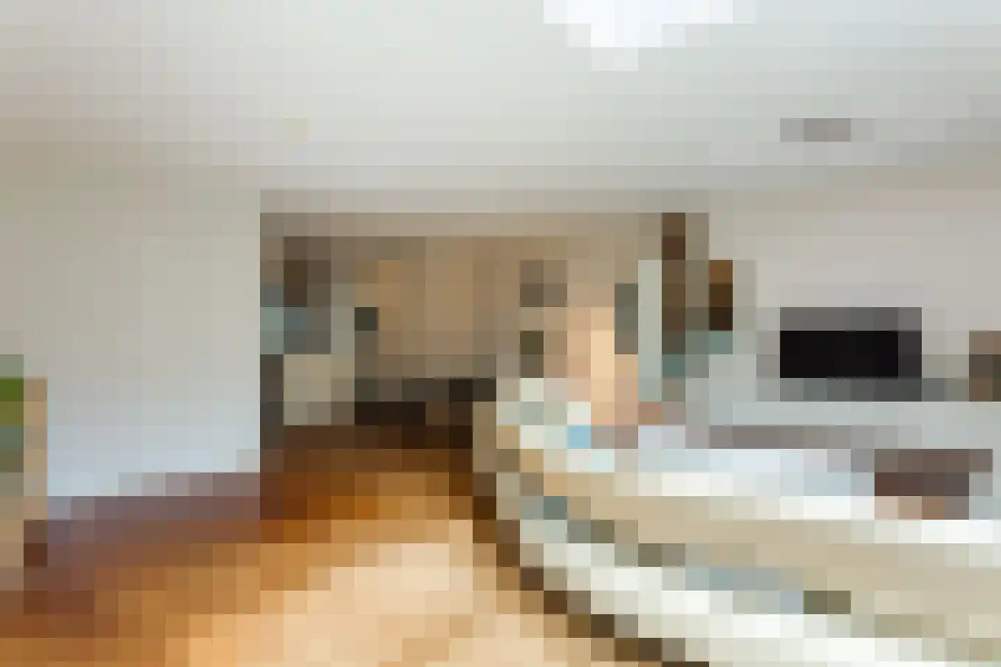 Oskar Nedbalhof 8 Utrecht thumbnail 24
