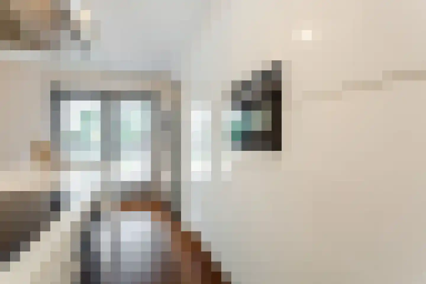 Oskar Nedbalhof 8 Utrecht thumbnail 27