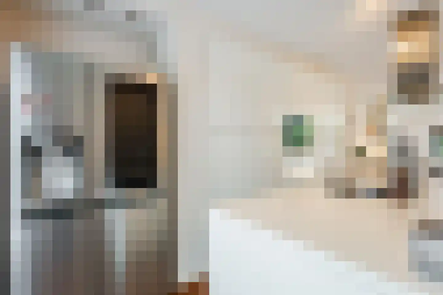 Oskar Nedbalhof 8 Utrecht thumbnail 28