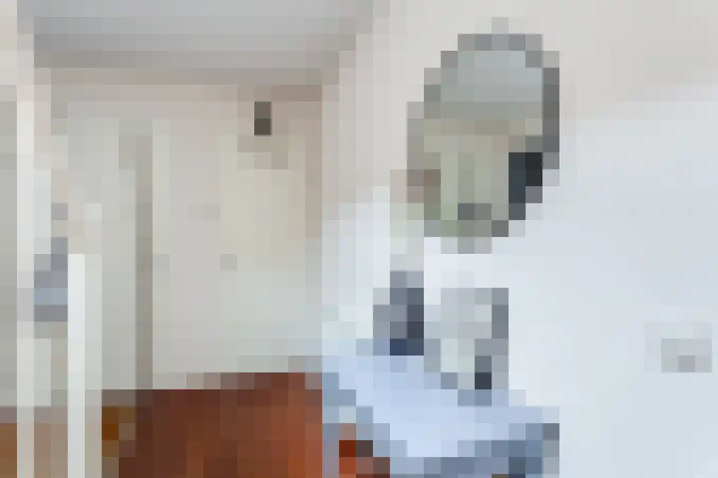 Oskar Nedbalhof 8 Utrecht thumbnail 32
