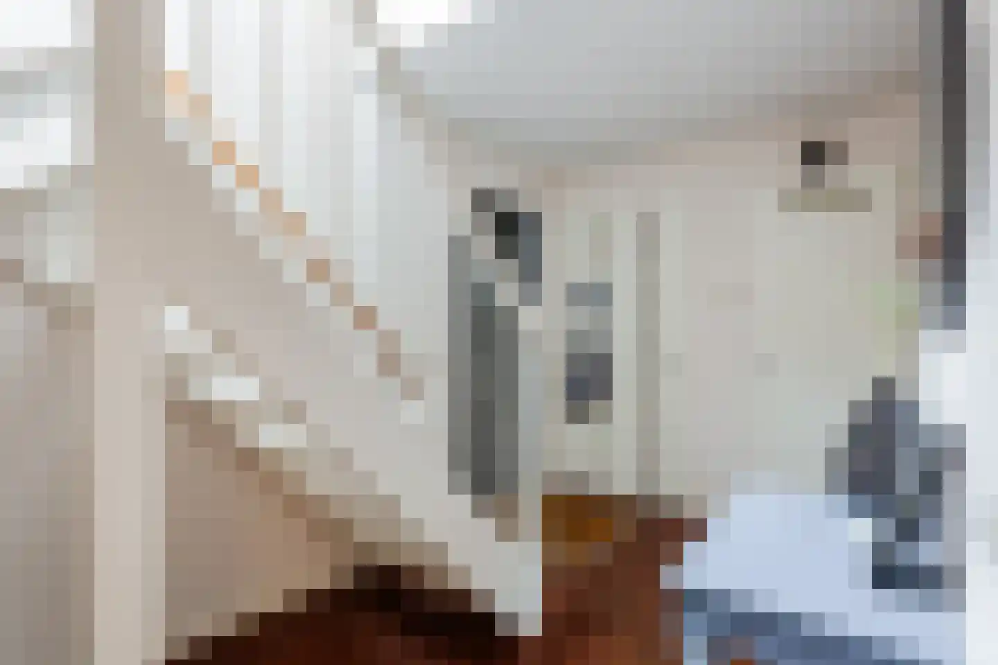 Oskar Nedbalhof 8 Utrecht thumbnail 33