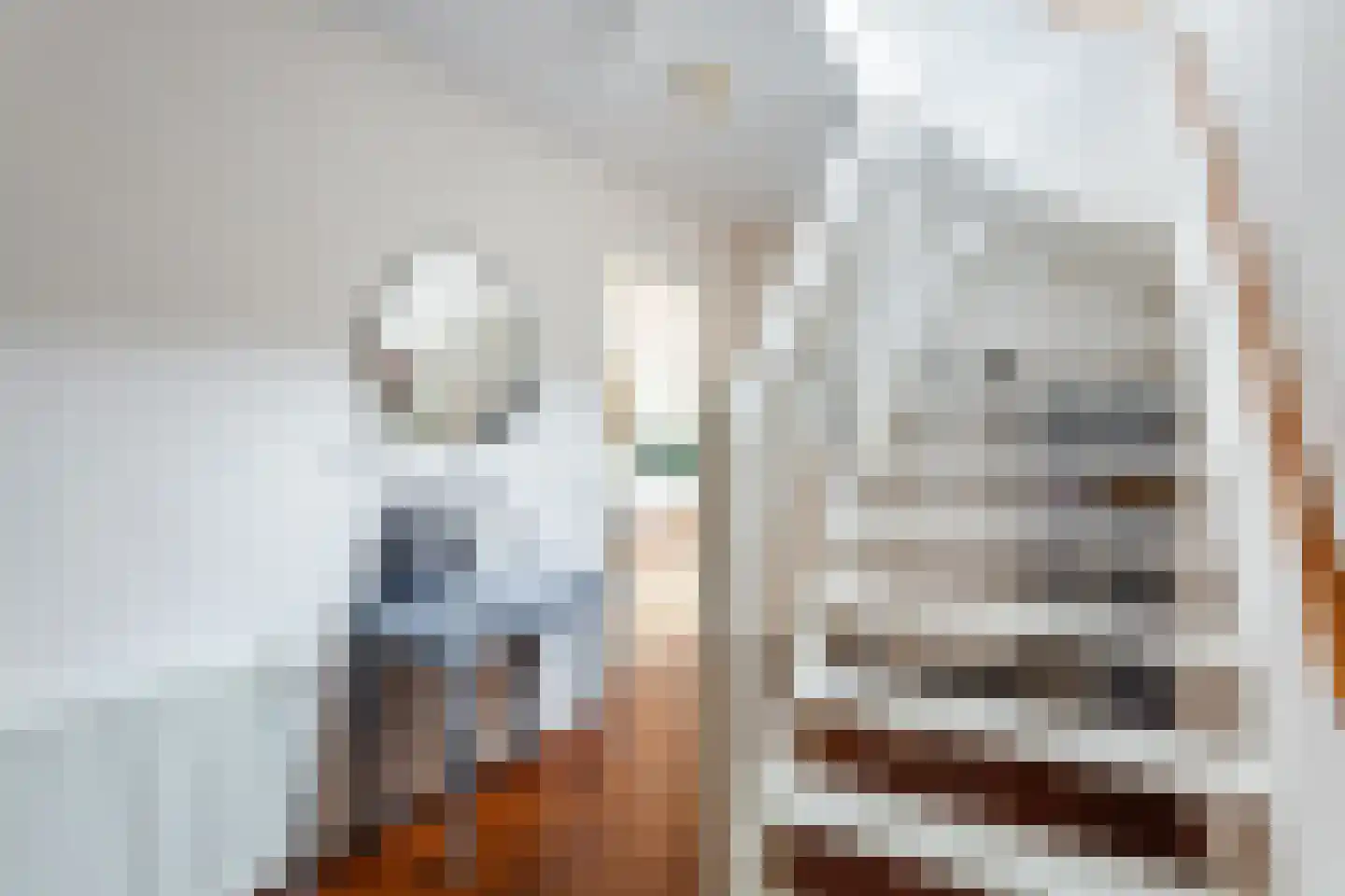 Oskar Nedbalhof 8 Utrecht thumbnail 34