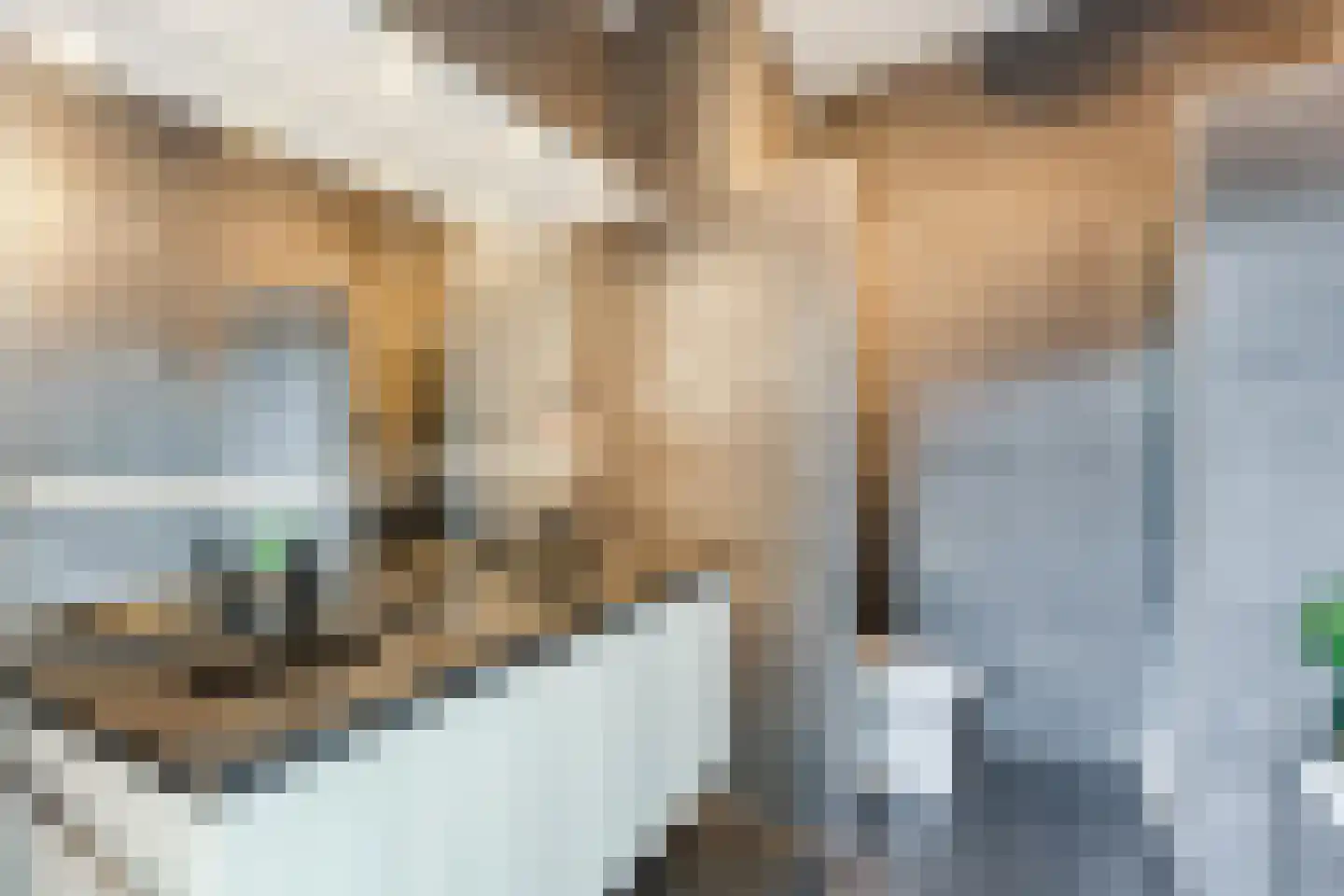 Oskar Nedbalhof 8 Utrecht thumbnail 46