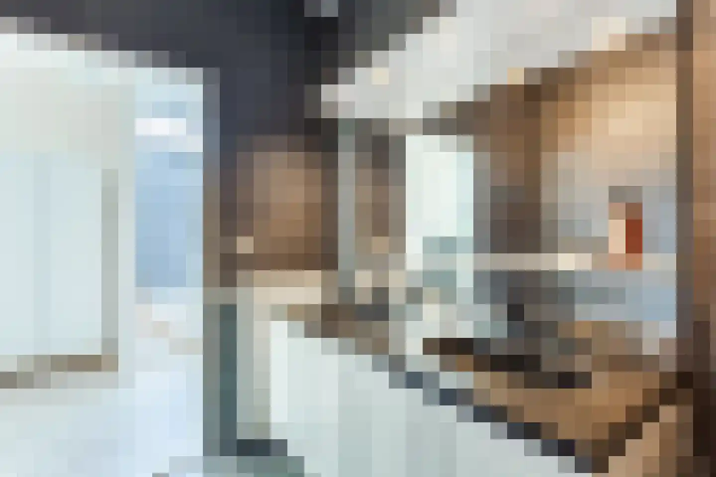 Oskar Nedbalhof 8 Utrecht thumbnail 49
