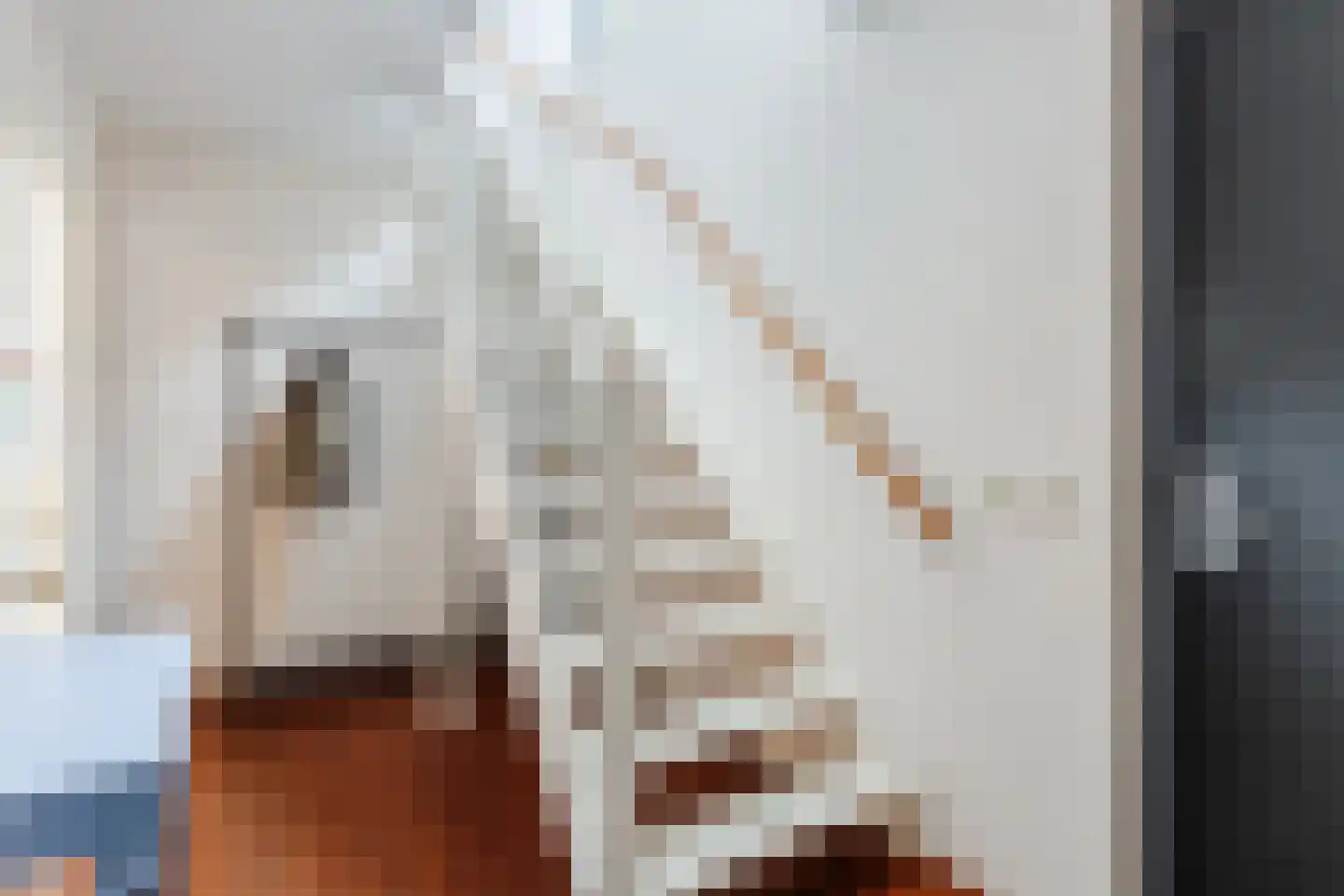 Oskar Nedbalhof 8 Utrecht thumbnail 5