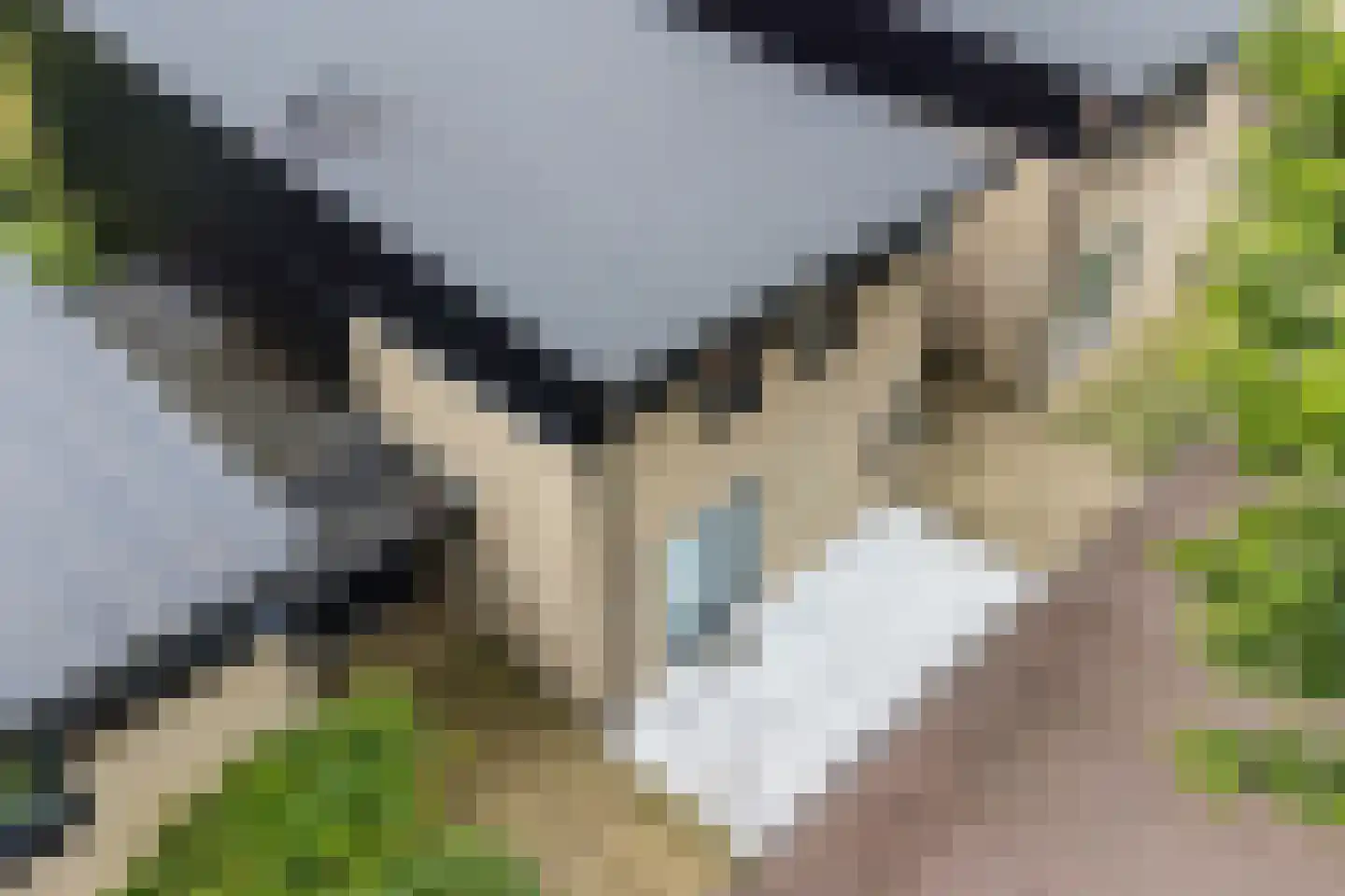 Oskar Nedbalhof 8 Utrecht thumbnail 60