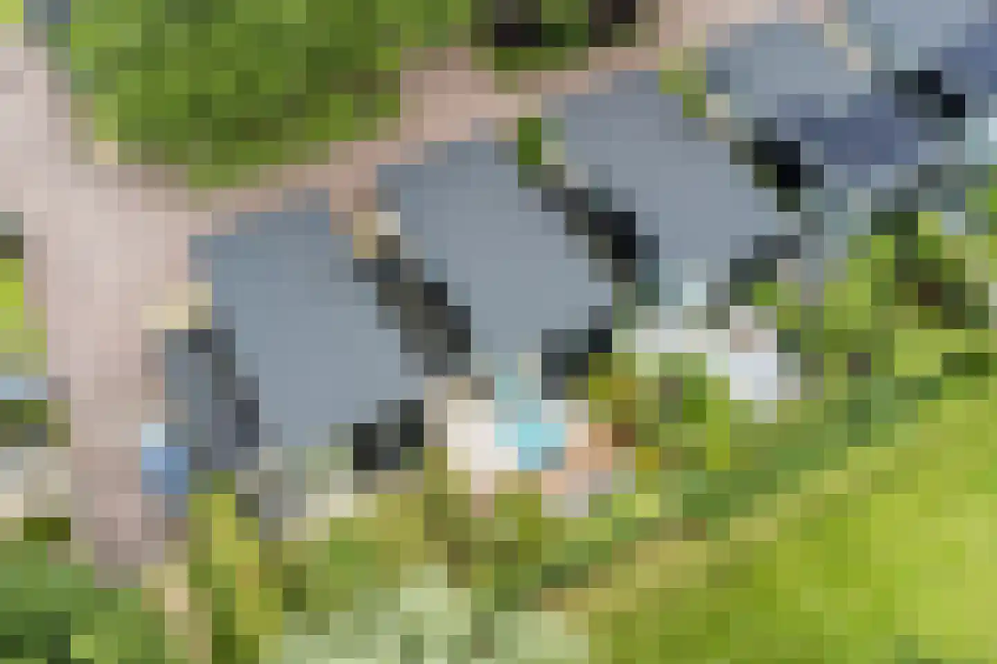 Oskar Nedbalhof 8 Utrecht thumbnail 61