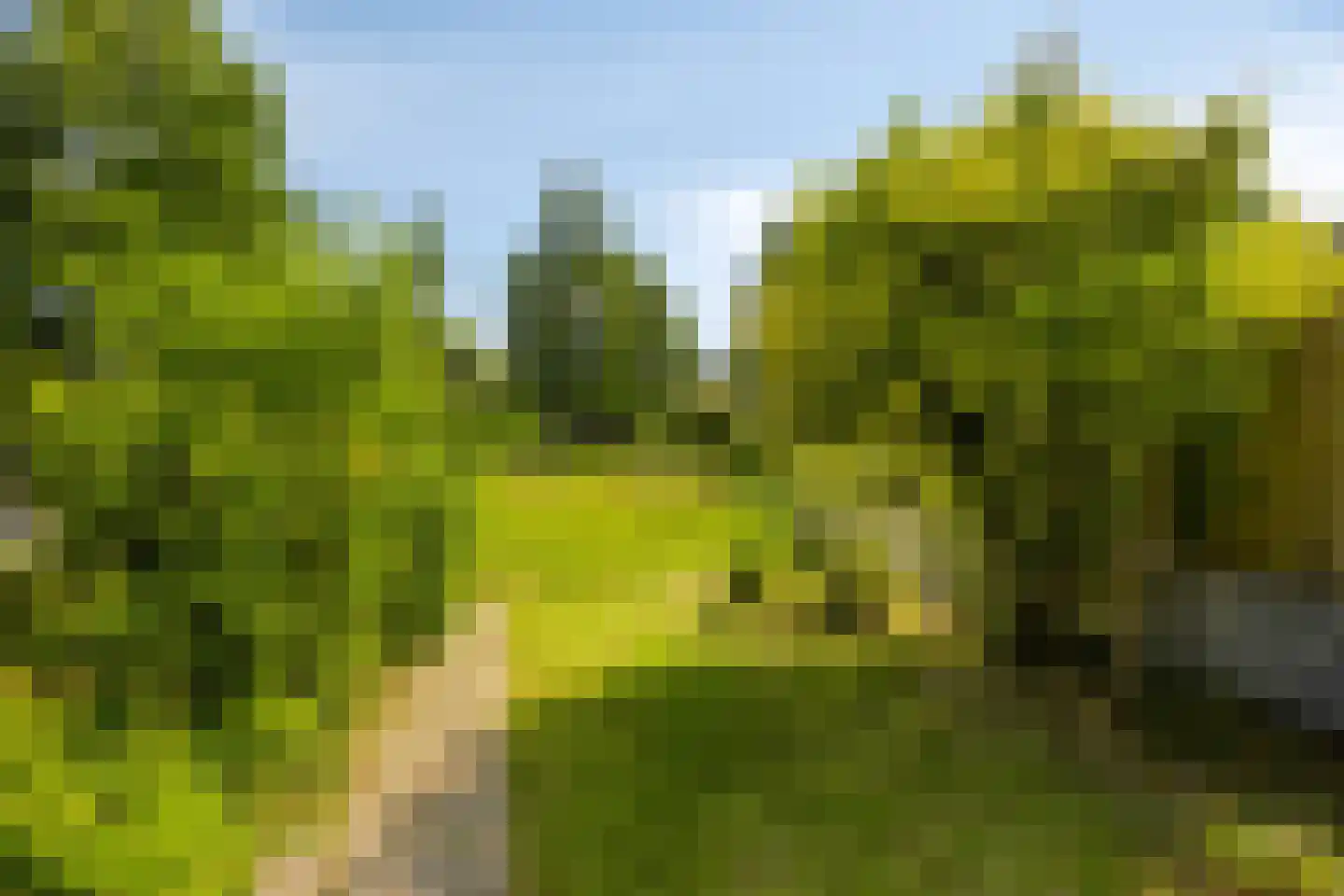 Oslofjord 26 Delfzijl thumbnail 34