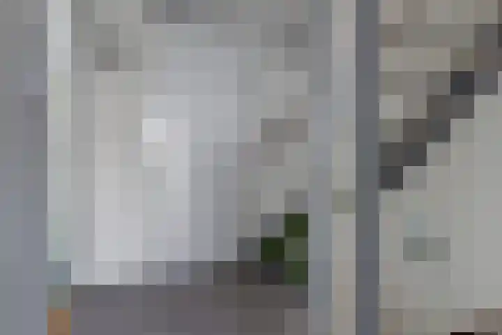 Oslofjord 52 Delfzijl thumbnail 34