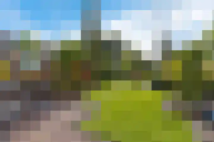 Oslofjord 52 Delfzijl thumbnail 40