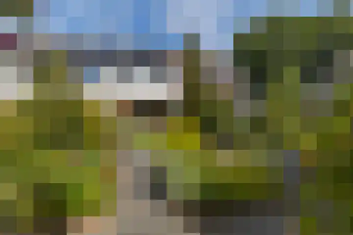 Oslofjord 52 Delfzijl thumbnail 43
