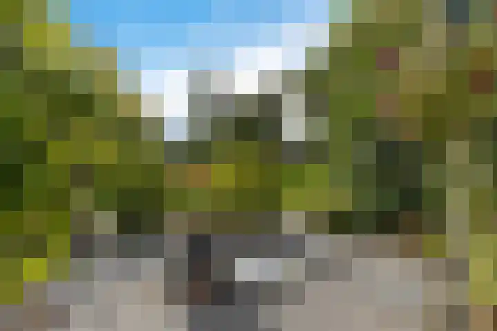 Oslofjord 52 Delfzijl thumbnail 44