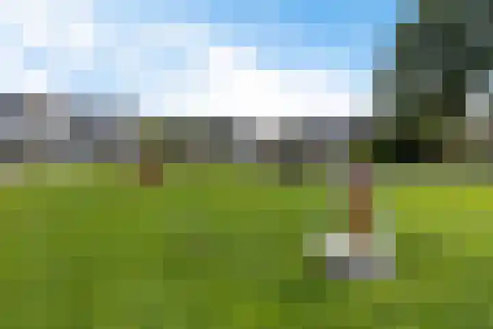 Oslofjord 52 Delfzijl thumbnail 47