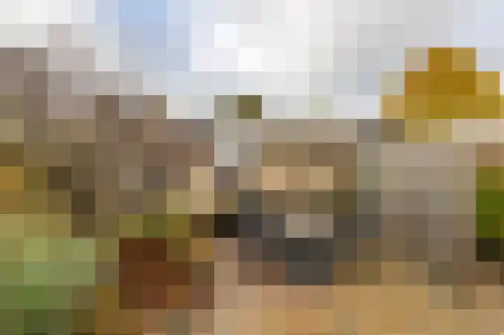 Oslofjord 77 Delfzijl thumbnail 32