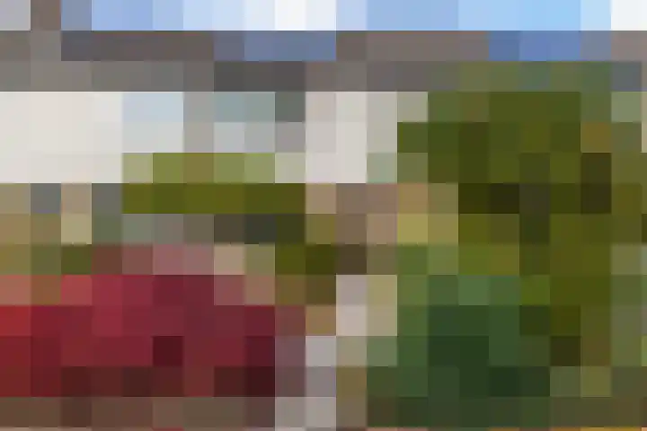 Oslofjord 77 Delfzijl thumbnail 4
