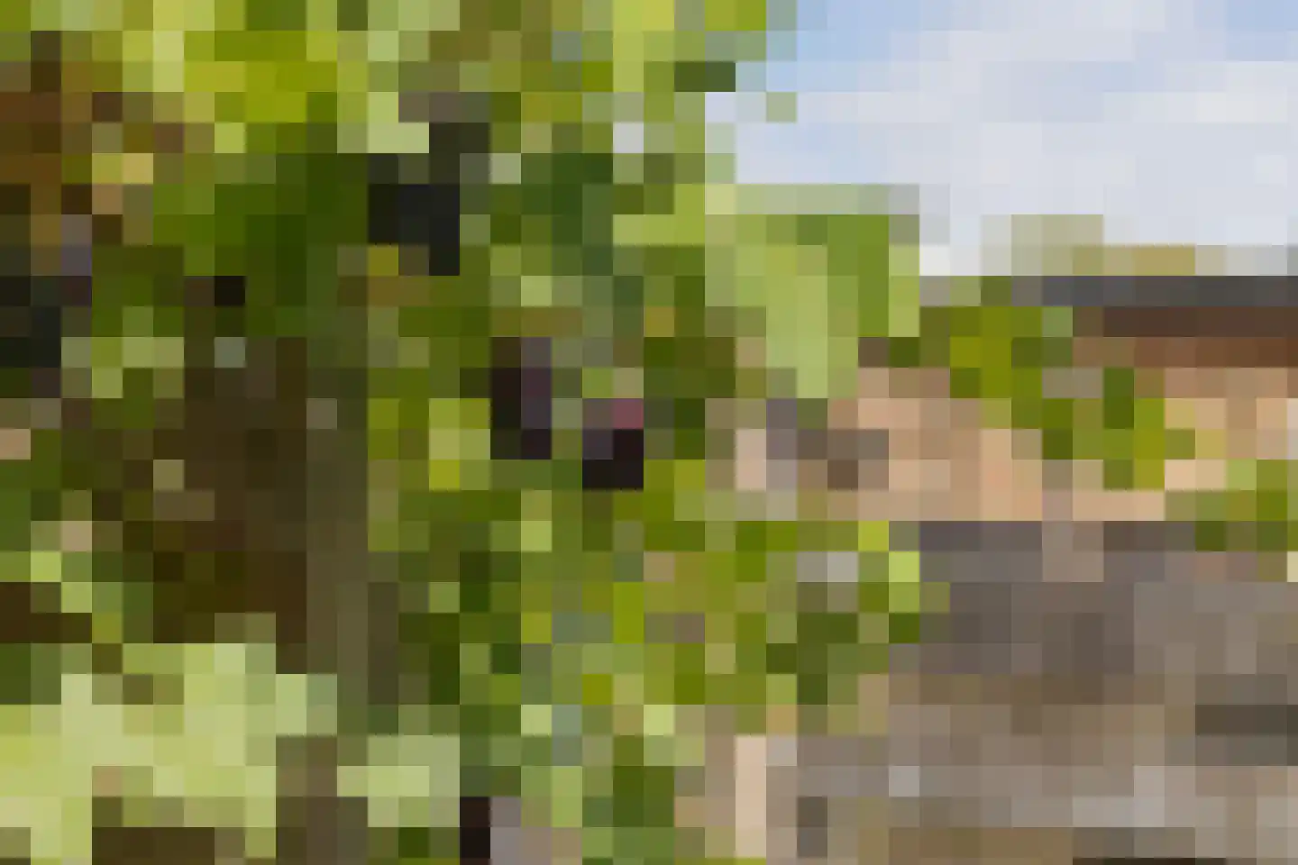Oslofjord 97 Delfzijl thumbnail 7