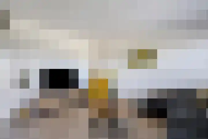 Oslohaven 29 Purmerend thumbnail 17