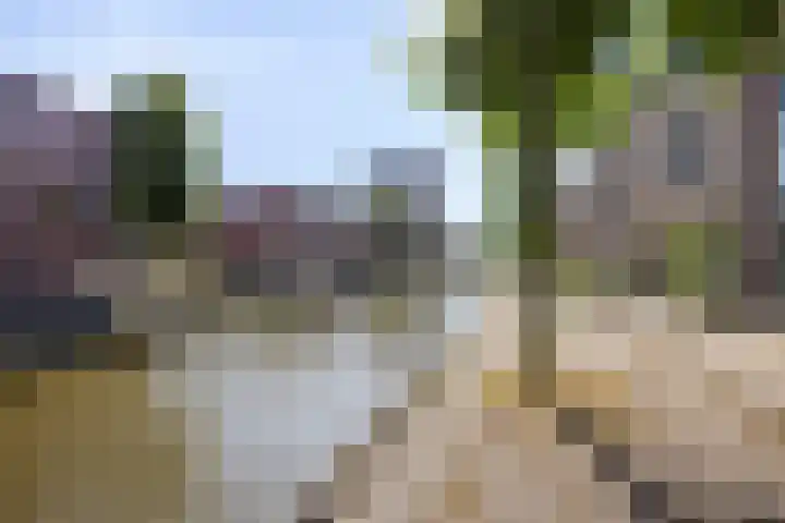 Oslohaven 29 Purmerend thumbnail 28