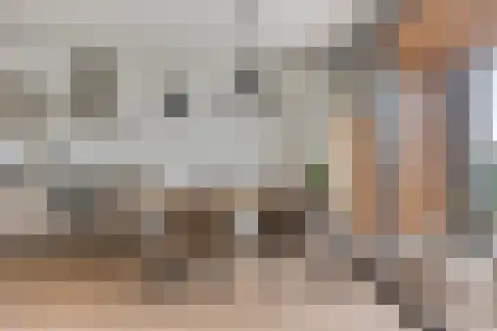 Oslohaven 32 Purmerend thumbnail 14