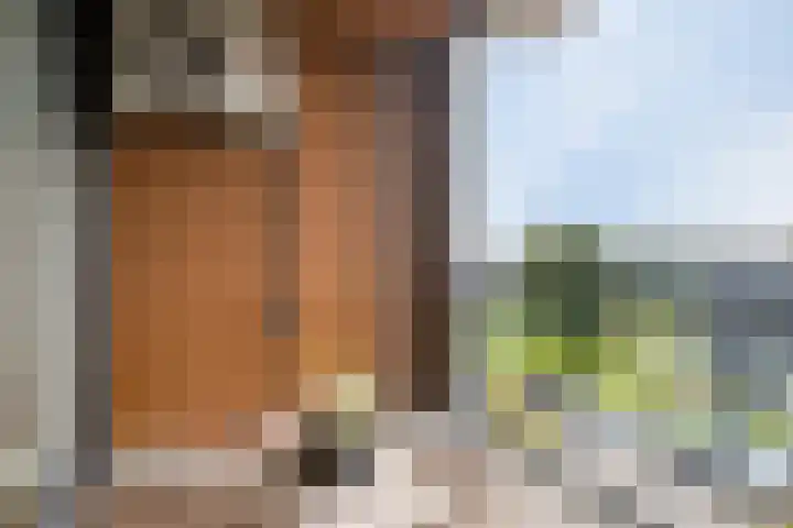 Oslohaven 32 Purmerend thumbnail 6