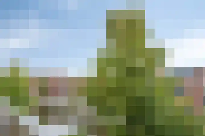 Oslohaven 55 Purmerend thumbnail 42