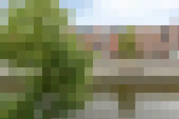 Oslohaven 55 Purmerend thumbnail 43