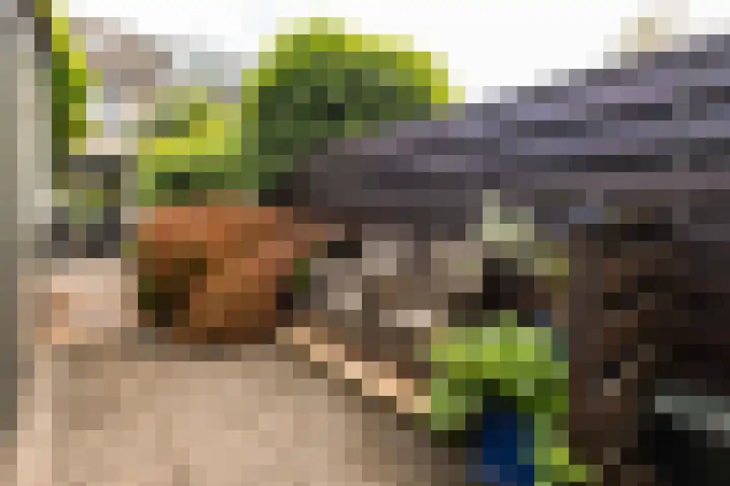 Oslopad 16 Alphen aan den Rijn thumbnail 22