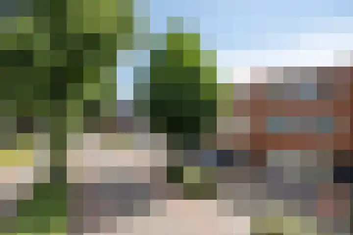 Ospelseweg 2 C Nederweert thumbnail 36