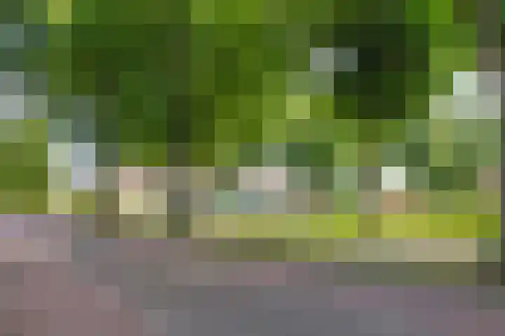 Ospelseweg 2 C Nederweert thumbnail 38