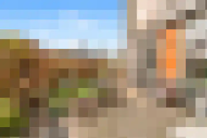 Ossecamp 28 Castricum thumbnail 15