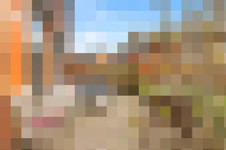 Ossecamp 28 Castricum thumbnail 16