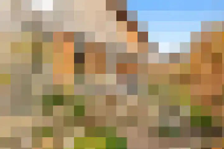 Ossecamp 28 Castricum thumbnail 18