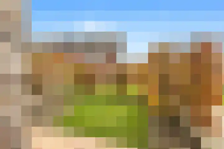 Ossecamp 28 Castricum thumbnail 19