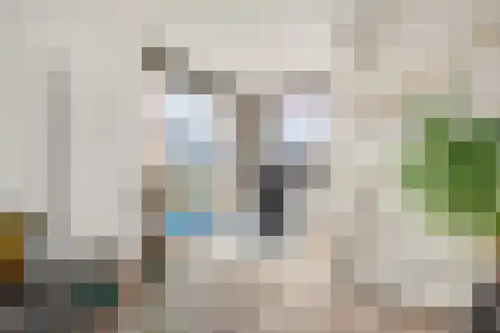 Ossecamp 28 Castricum thumbnail 29