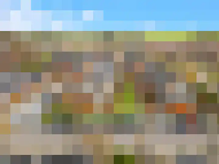 Ossecamp 28 Castricum thumbnail 36
