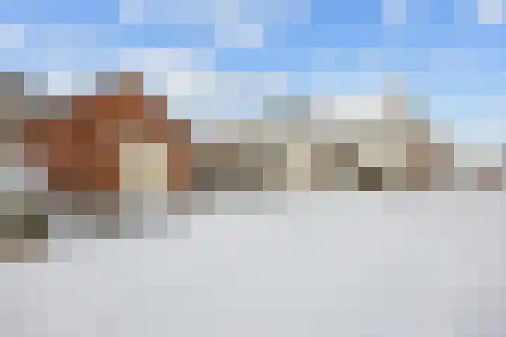 Ossegang 2 Uithuizen foto 2
