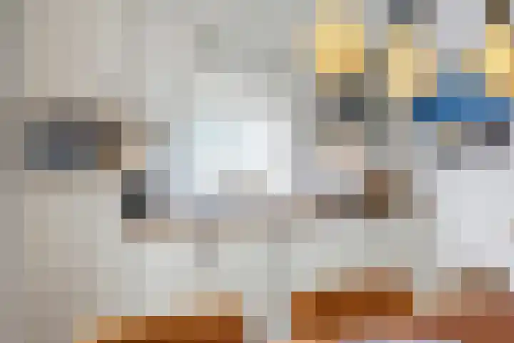 Ossegang 2 Uithuizen thumbnail 24