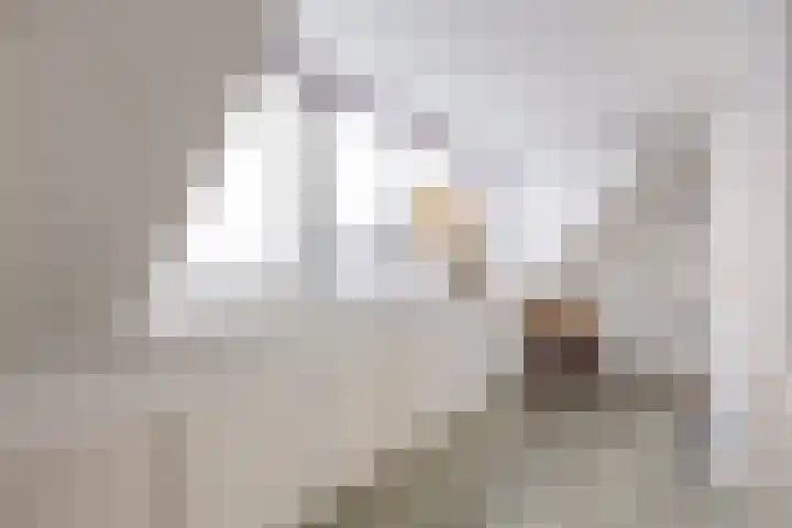 Ossegang 2 Uithuizen thumbnail 37